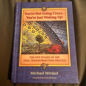 You’re Not Crazy, You’re Just Waking Up! by Michael Mirdad